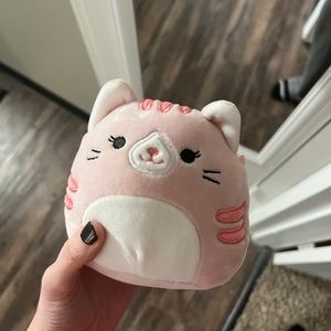 Small cat squishmallow